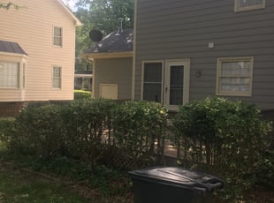 Bush Trimming by Justin Hassen for Darien C. in Raleigh, NC