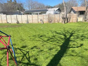 Deb H.'s Lawn Mowing service result
