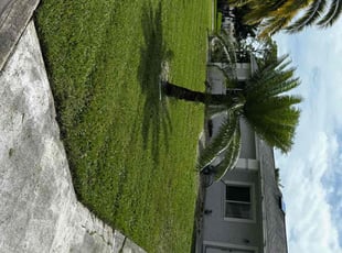 Vikki P.'s Lawn Mowing service result