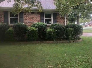 Bush Trimming by Chase Hatmaker for Christopher V. in Chesapeake, VA