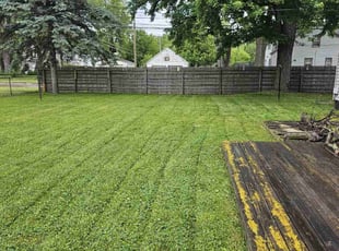 Donna C.'s Lawn Care service result