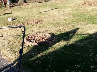 Leaf Removal by Tavon Floyd for Lisa R. in Baltimore, MD