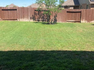 Laura K.'s Lawn Service service result