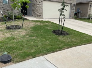 Weeding by Tristan Bates for Josh C. in Converse, TX