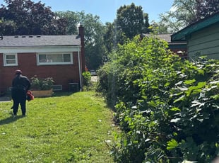 Bush Trimming by Jason Murry for Paul F. in Farmington, MI