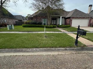 Esther M.'s Lawn Mowing service result