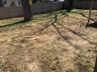 Leaf Removal by David Cardillo for Christopher D. in Warwick, RI