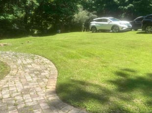 Eileen W.'s Lawn Mowing Service service result