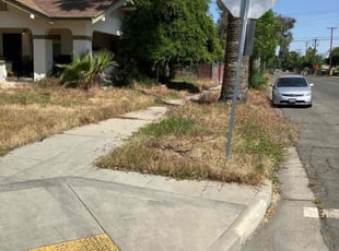 Cleanups by Alex Rodriguez for Bryon A. in Fresno, CA