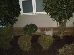 Bush Trimming by Marvin White for Michele H. in Virginia Beach, VA