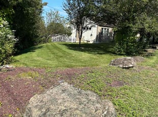 Jacquelyn P.'s Lawn Care service result