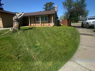 Hannah M.'s Lawn Mowing service result