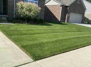 Mary C.'s Yard Cutting service result