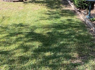 George X.'s Lawn Mowing service result