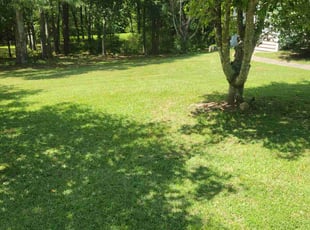 Joshua T.'s Grass Cutting service result