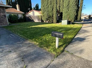 Tamekia J.'s Lawn Maintenance service result