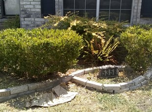 Bush Trimming by Gralin Johnson for 5358 Cresent lake. The new one KriS G. in Fort Worth, TX