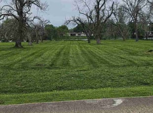 Oliva I.'s Grass Cutting service result