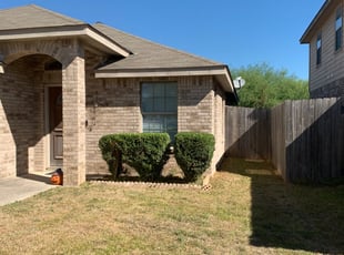 Bush Trimming by Stanmore Hinds for Renee T. in Helotes, TX