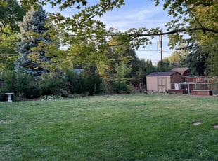 David C.'s Lawn Maintenance service result