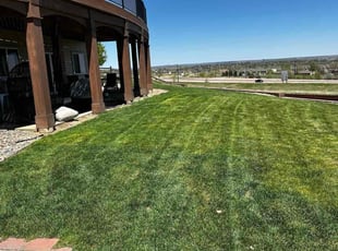 Edward B.'s Lawn Care service result