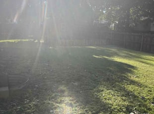 Cleanups by Tywuan Williams for Denise F. in Indianapolis, IN