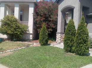 Linda W.'s Lawn Care service result