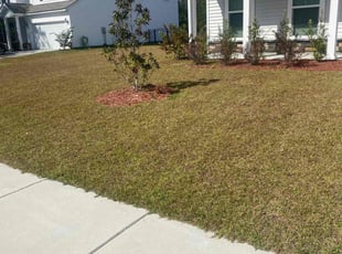 Rae L.'s Lawn Service service result