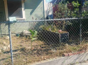 Weeding by Lori Segovia for Shane M. in Santa Paula, CA