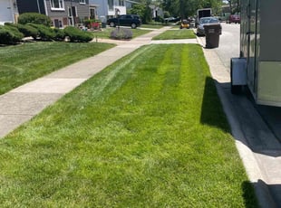 Erika B.'s Lawn Service service result