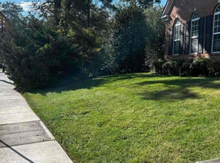 Sara D.'s Lawn Mowing Service service result