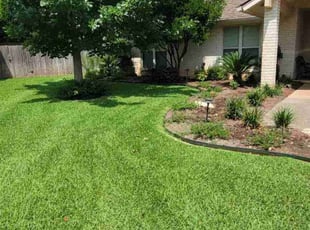 Marilyn T.'s Lawn Care service result