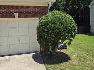 Bush Trimming by Kevin walker for Cynthia G. in Powder Springs, GA