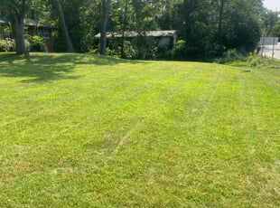 Jack C.'s Lawn Mowing service result