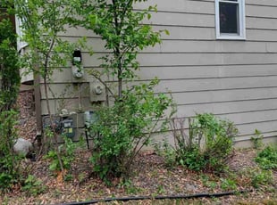 Bush Trimming by Dwyne Smith for Sameera A. in Burnsville, MN