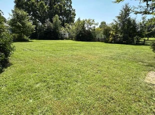 Sonja P.'s Lawn Mowing service result