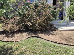 Weeding by Jimmy Saucedo for Molly J. in Austin, TX