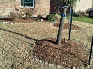 Weeding by John Brown for Dana W. in Princeton, TX