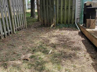 Cleanups by Jesse Groves for Lynn W. in Overland Park, KS