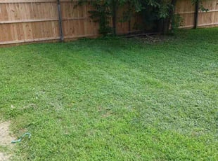 Laura L.'s Lawn Service service result