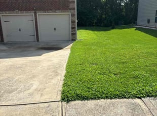 Teneka T.'s Lawn Mowing service result