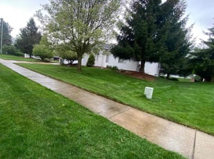 Brock S.'s Yard Cutting service result