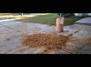 Leaf Removal by Jeremiah Smith for Evan K. in Redford Charter Township, MI