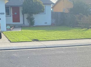 Carla B.'s Grass Cutting service result