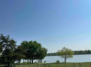 Cheryl L.'s Lawn Service service result