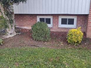 Weeding by Allan Roberts for Barbara P. in Alexandria, VA