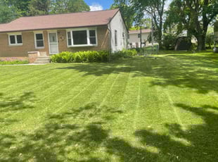 Cheryl W.'s Lawn Service service result