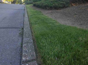 Chad S.'s Lawn Care service result