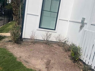 Weeding by Paul Jones for James M. in Houston, TX
