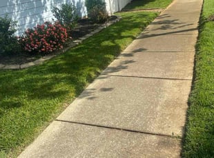 Nancy I.'s Lawn Service service result